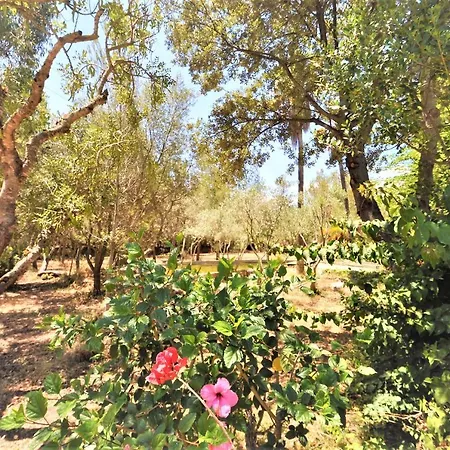 Sa Rota En 8 Personas- Muy Tranquilo Villa *